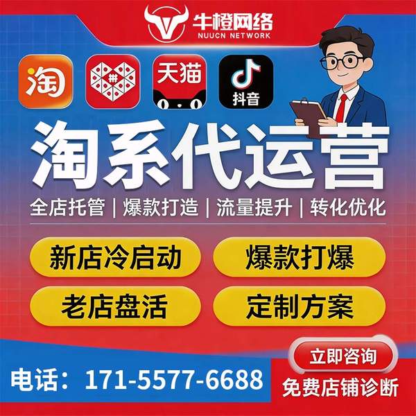 云浮电商代运营