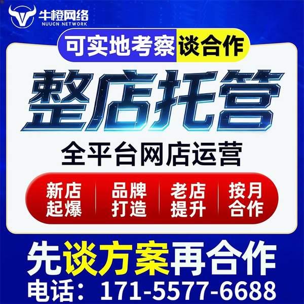 云浮电商代运营