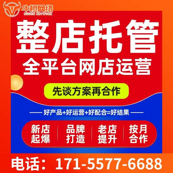 云浮电商代运营