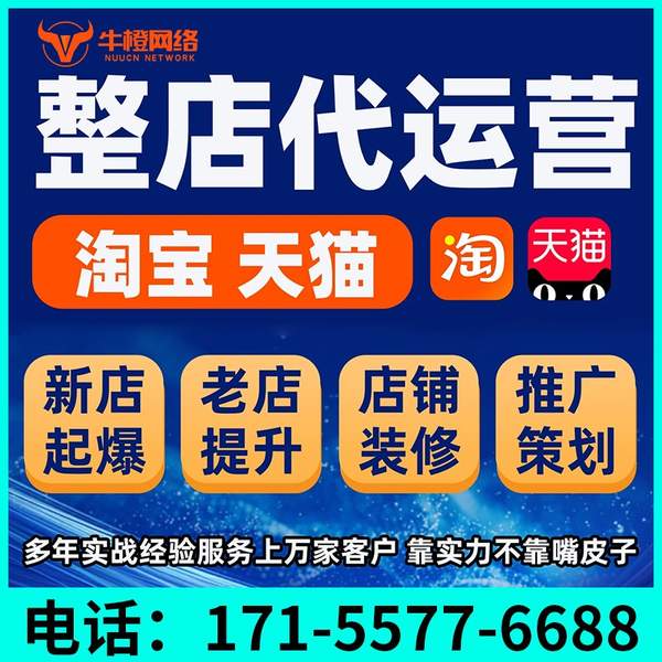 云浮电商代运营