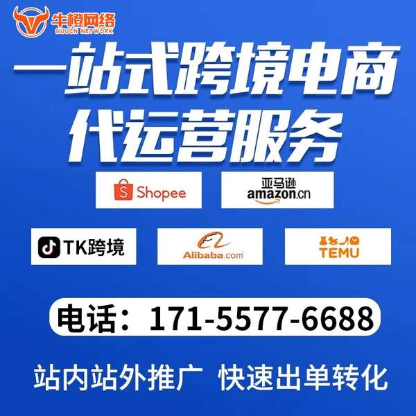 云浮电商代运营