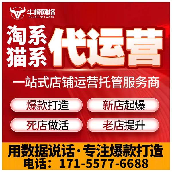 云浮电商代运营
